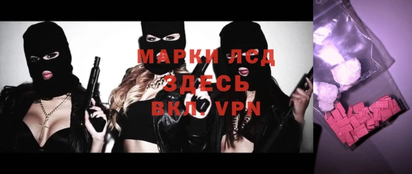 стаф Алексин