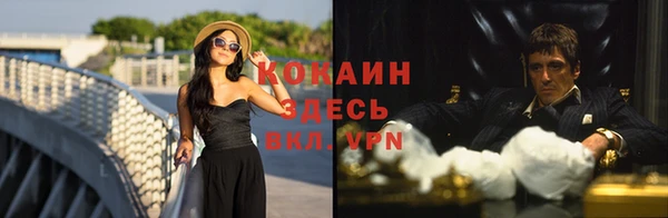 spice Алзамай
