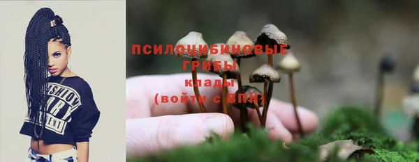 spice Алексеевка