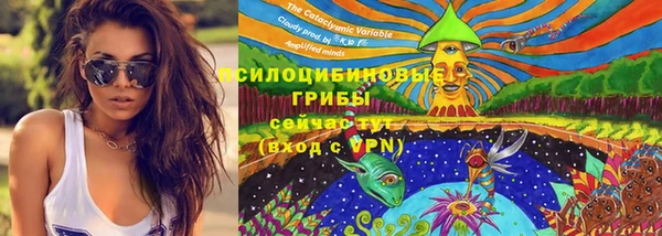 spice Алексеевка
