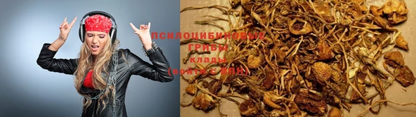 spice Алзамай