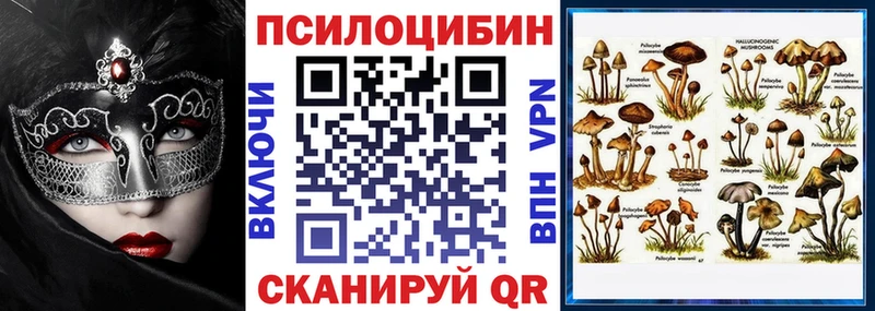 Галлюциногенные грибы Psilocybine cubensis  Лаишево 
